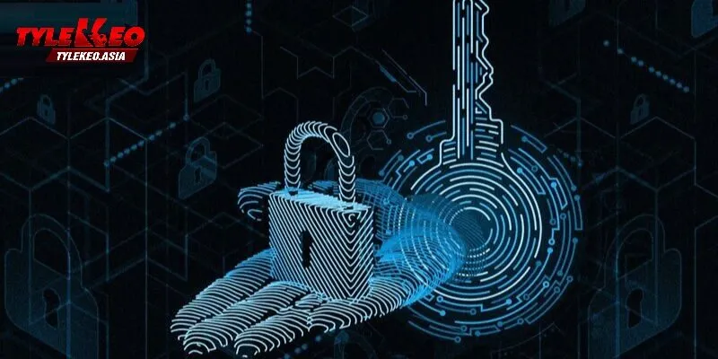 Quyền Riêng Tư Chính Sách Quyền Riêng Tư Của Các Nền Tảng Tỷ Lệ Kèo