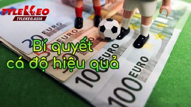 Mẹo Cá Cược Bóng Đá Bất Bại 2025 | Bí Quyết Từ Chuyên Gia Mẹo cá cược bóng đá thông minh cho người chơi