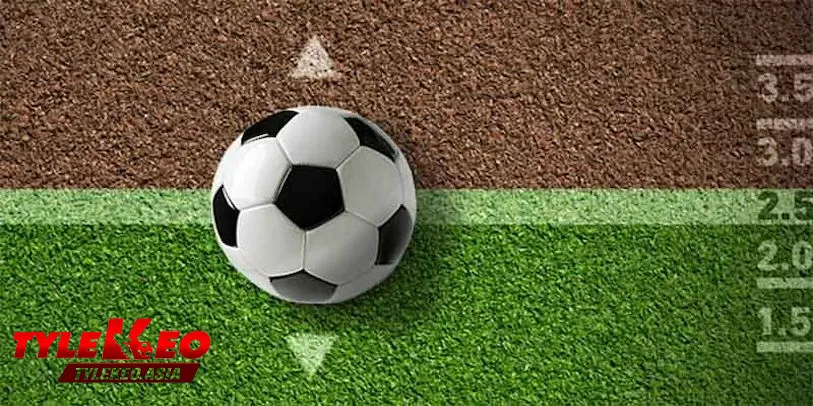 Dự Đoán Kèo Nhà Cái Hôm Nay | Phân Tích Chuyên Sâu - Tăng Cơ Hội Thắng Lớn Mẹo soi kèo cho người chơi