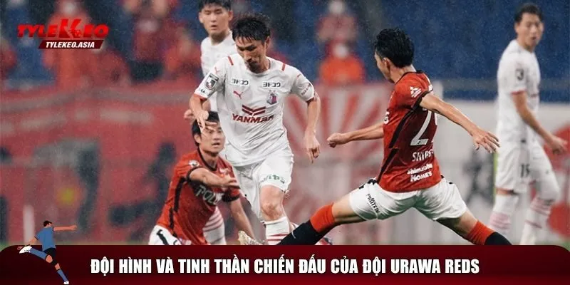 Khám phá đại diện châu Á Urawa Reds